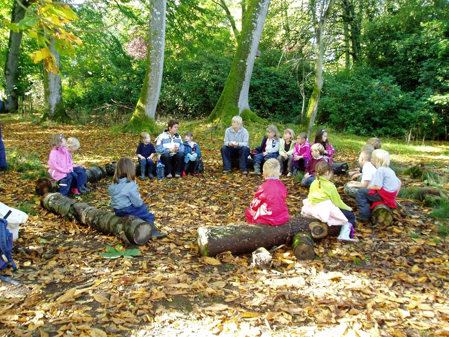A forest schools session in action